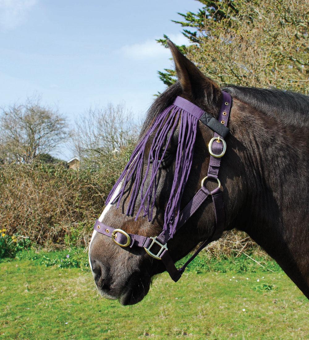 Rhinegold Frange Anti-Mouches - SHOP HORSE